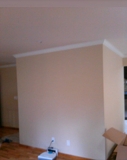 Before wall-Demo